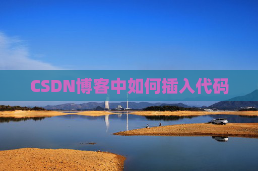 CSDN博客中如何插入代码